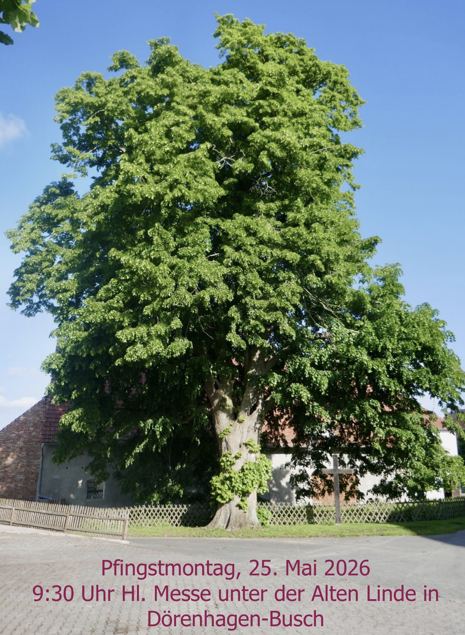 Gottesdienst an der alten Linde 