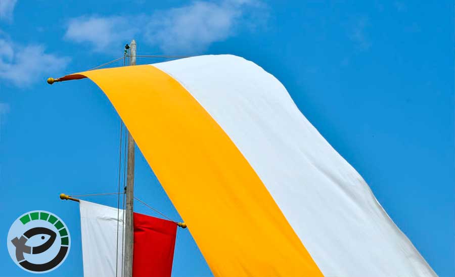 Gemeinsame Hl. Messen im Pastoralen Raum